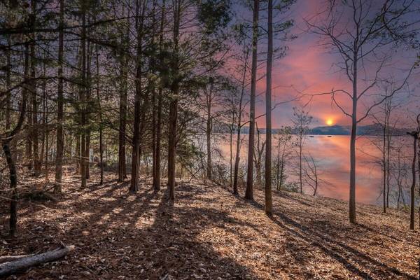 0 Castaway Lane, Jasper, TN 37347