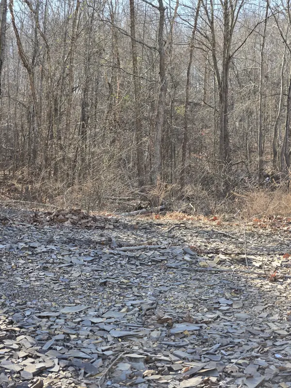 0 River Oaks Drive, Big Sandy, TN 38221