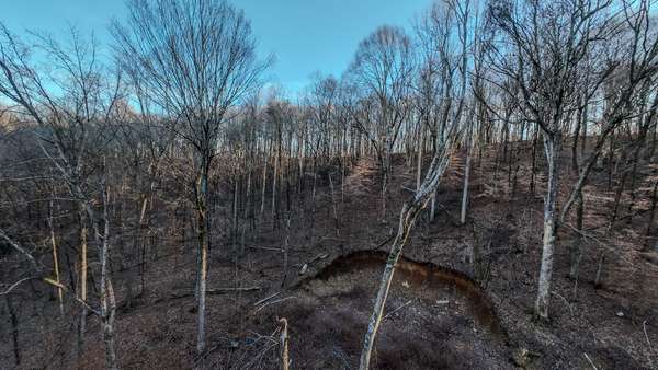 1843D Garrison Branch Rd, Cottontown, TN 37048