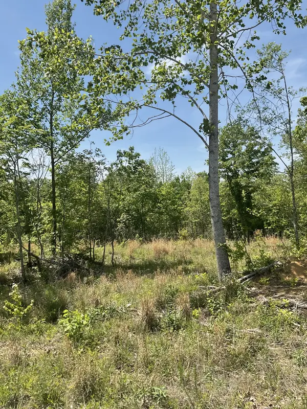 98 Saddleback Drive, Dover, TN 37058