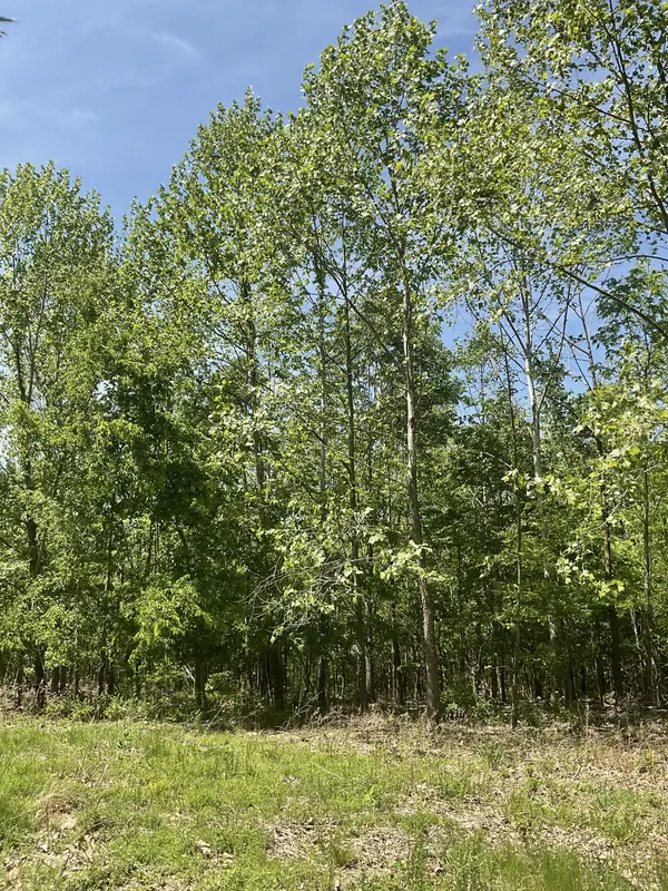 98 Saddleback Drive, Dover, TN 37058