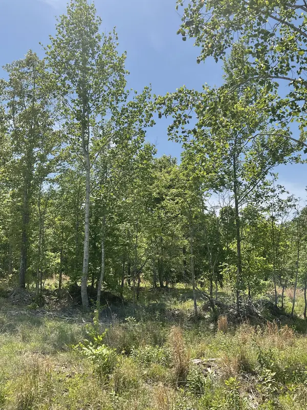 98 Saddleback Drive, Dover, TN 37058