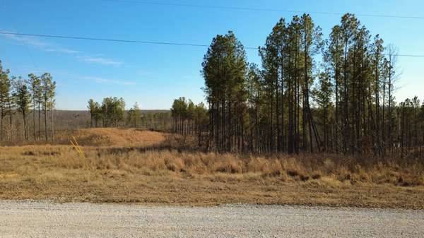45 Saddleback Dr, Dover, TN 37058