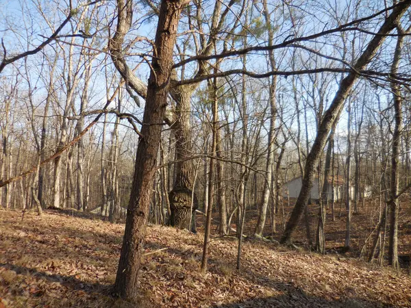 133 Greenbrier Loop, Crossville, TN 38558