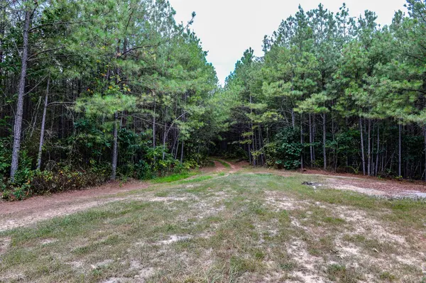 0 Brush Creek Road, Hohenwald, TN 38462