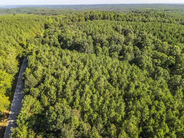 0 Brush Creek Road, Hohenwald, TN 38462