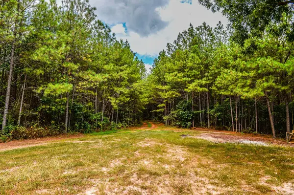 0 Brush Creek Road, Hohenwald, TN 38462