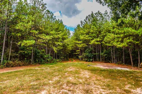 0 Brush Creek Road, Hohenwald, TN 38462