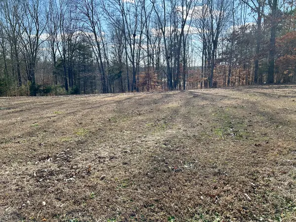0 Stones Bend, Lynchburg, TN 37352