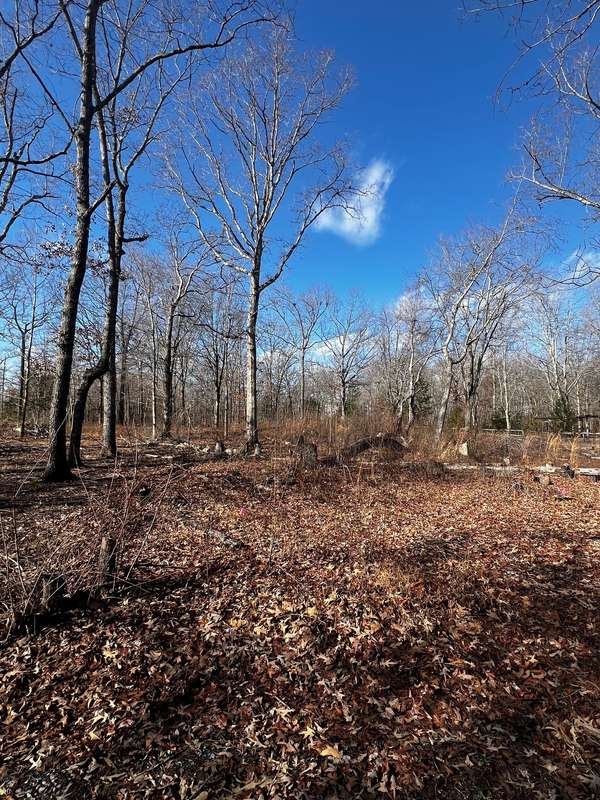 0 Bull Run, Beechgrove, TN 37018