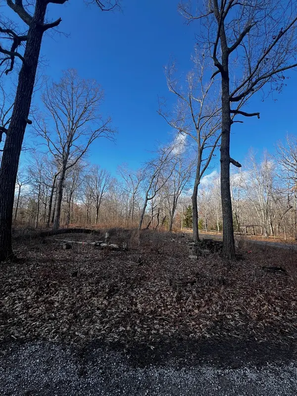 0 Bull Run, Beechgrove, TN 37018