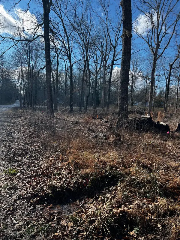 0 Bull Run, Beechgrove, TN 37018
