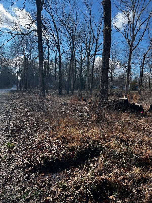 0 Bull Run, Beechgrove, TN 37018