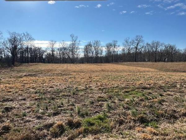 136 RIVER RUN ESTATES/CRAVENS RD, Savannah, TN 38372