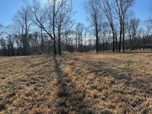 136 RIVER RUN ESTATES/CRAVENS RD, Savannah, TN 38372