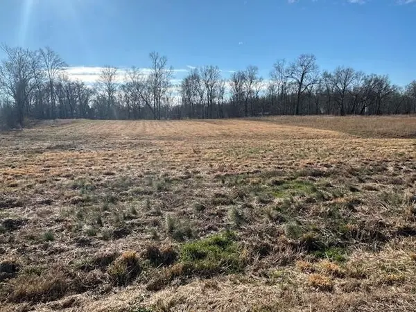 136 RIVER RUN ESTATES/CRAVENS RD, Savannah, TN 38372