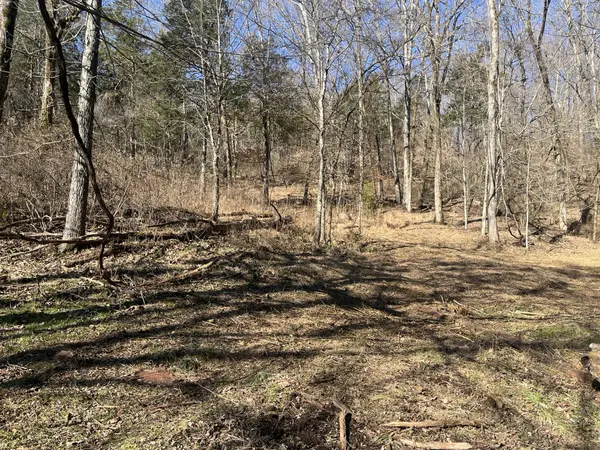 0 Cathcart Rd, Frankewing, TN 38459