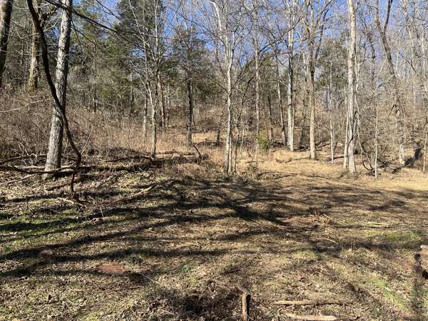 0 Cathcart Rd, Frankewing, TN 38459
