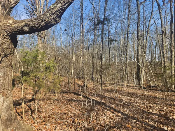 0 Buckeye Road, Cumberland City, TN 37050