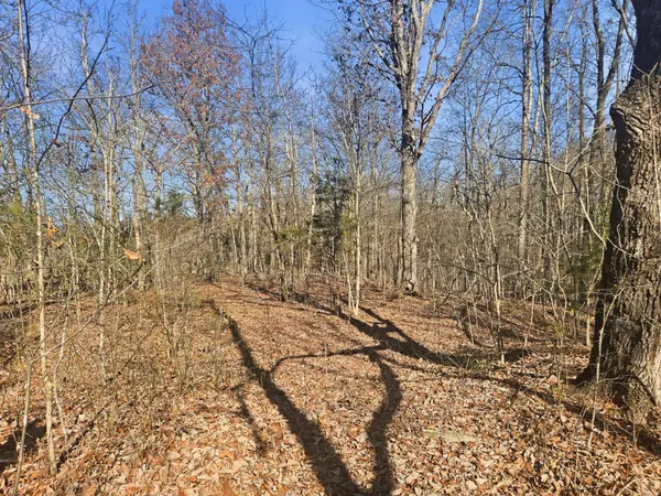 0 Buckeye Road, Cumberland City, TN 37050