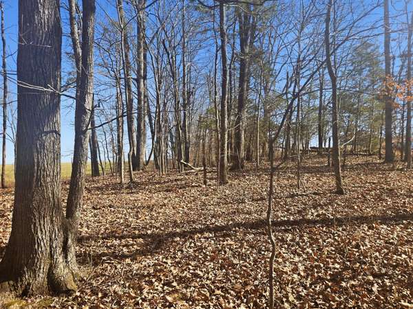 0 Buckeye Road, Cumberland City, TN 37050