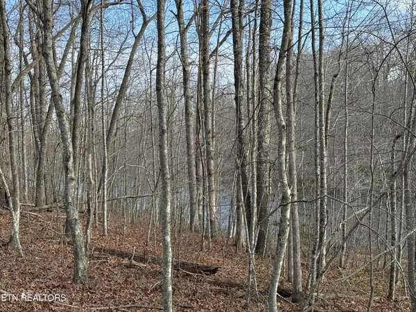 0 Crystal Point, Monterey, TN 38574