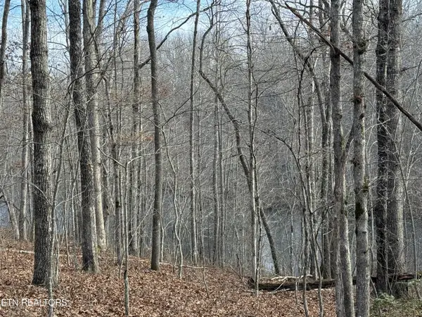 0 Crystal Point, Monterey, TN 38574