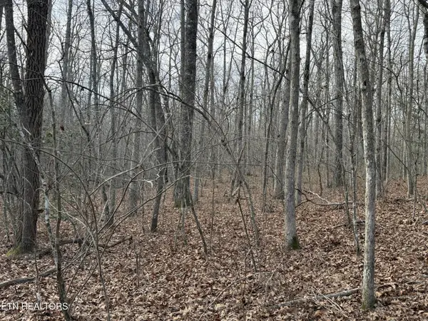 0 Crystal Point, Monterey, TN 38574