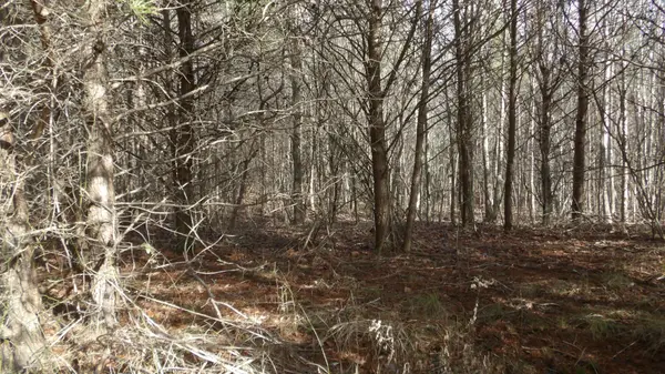 0 Meadow Lane, Spencer, TN 38585
