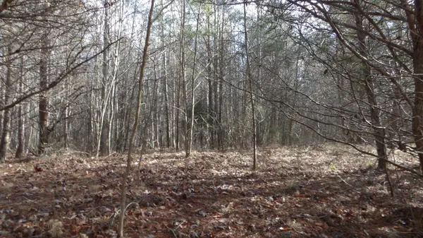 0 Meadow Lane, Spencer, TN 38585