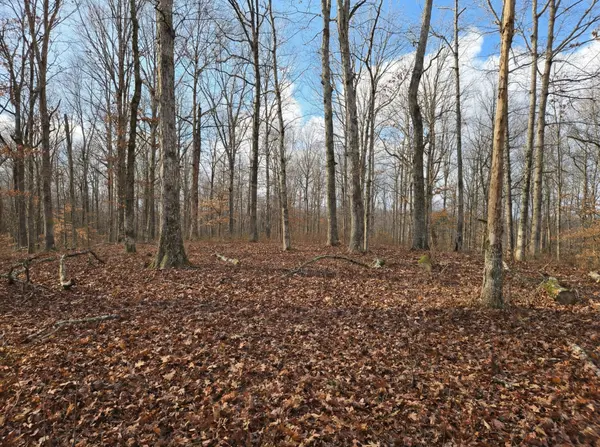 0 Havenwood Rd, Mc Ewen, TN 37101