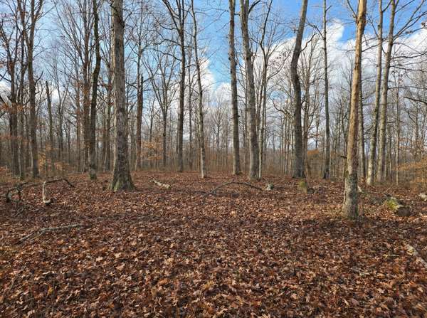 0 Havenwood Rd, Mc Ewen, TN 37101