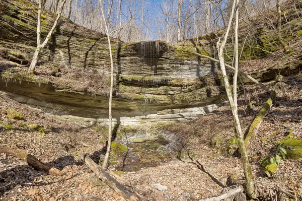 0 Hurricane Creek Road, Linden, TN 37096