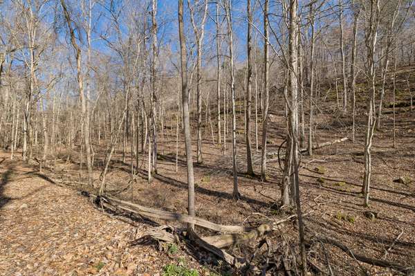 0 Hurricane Creek Road, Linden, TN 37096