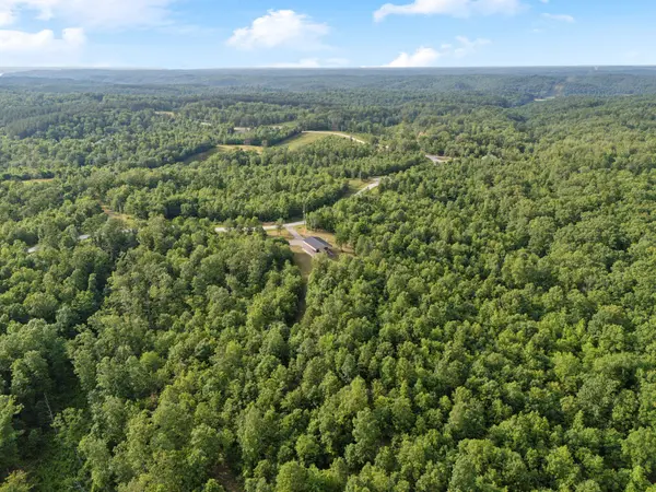 1635 Bear Hollow Dr, Waverly, TN 37185