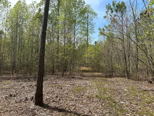 6390 Raulston Falls Rd, Jasper, TN 37347