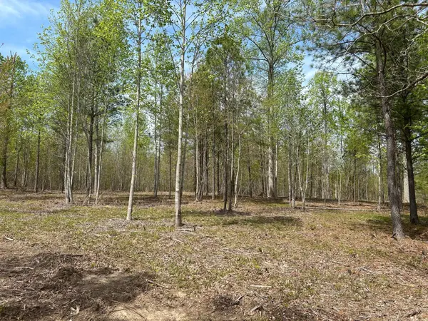 6390 Raulston Falls Rd, Jasper, TN 37347