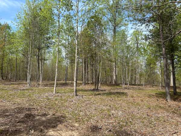 6390 Raulston Falls Rd, Jasper, TN 37347