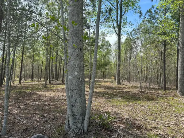 6390 Raulston Falls Rd, Jasper, TN 37347