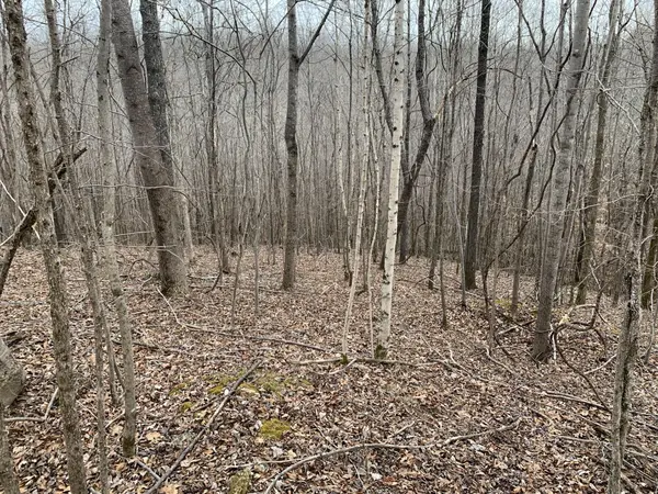 0 West Mackey Rd, Iron City, TN 38463
