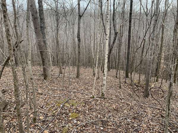 0 West Mackey Rd, Iron City, TN 38463