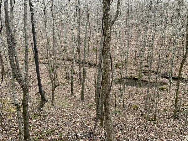 0 West Mackey Rd, Iron City, TN 38463