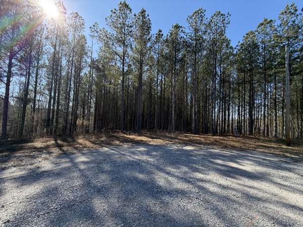 533 Center Ridge Dr, Linden, TN 37096