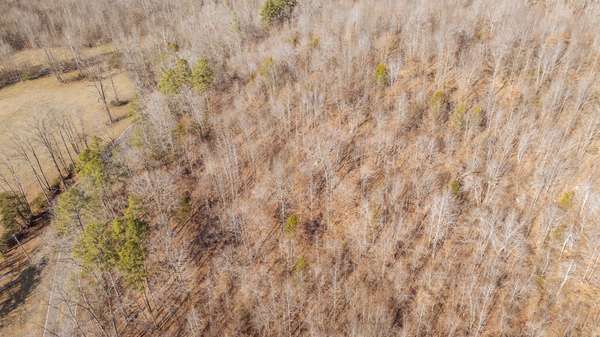 3310 HOLLAND CREEK RD, Savannah, TN 38372