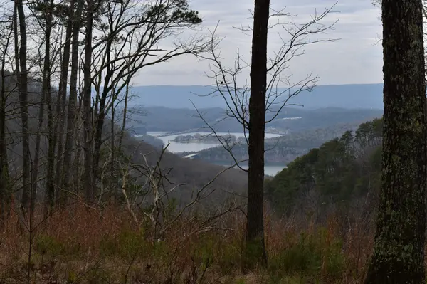 0 Birds Eye Way, Guild, TN 37340