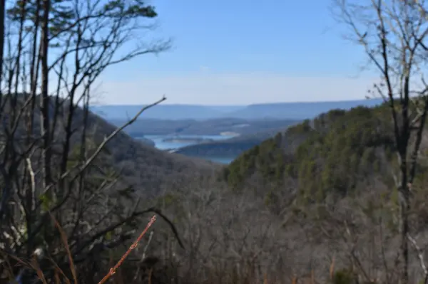 0 Birds Eye Way, Guild, TN 37340