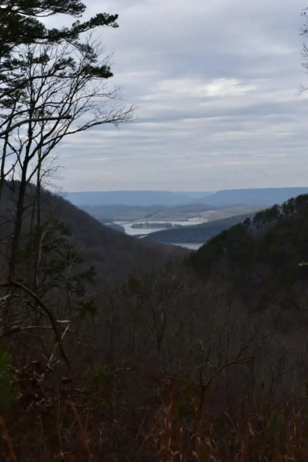 0 Birds Eye Way, Guild, TN 37340