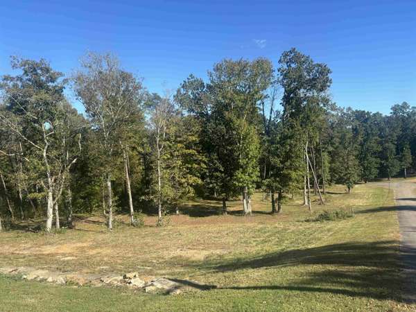 0 MARIAH LN, Bath Springs, TN 38311
