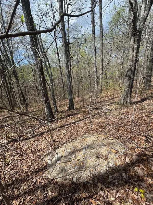 345 Drew Court, Smithville, TN 37166