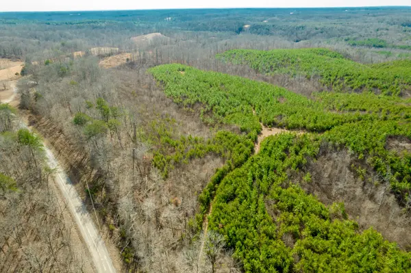 0 State Line Road, Iron City, TN 38463
